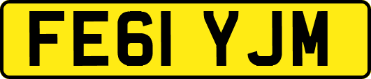 FE61YJM