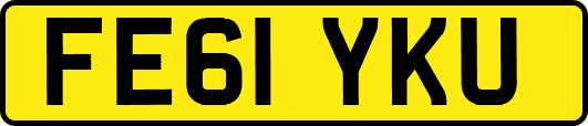 FE61YKU