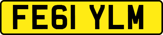 FE61YLM