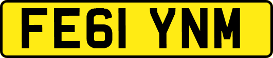 FE61YNM