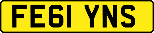 FE61YNS
