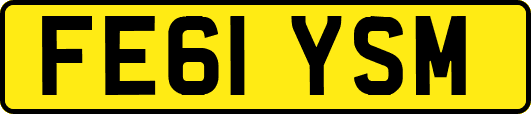 FE61YSM