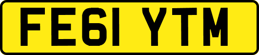 FE61YTM