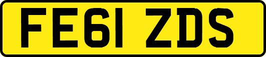 FE61ZDS