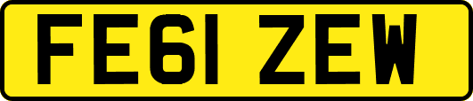 FE61ZEW