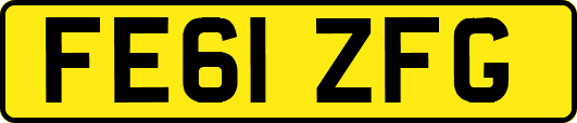 FE61ZFG