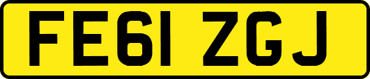 FE61ZGJ