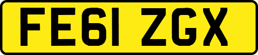 FE61ZGX