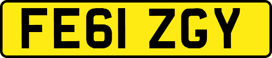 FE61ZGY