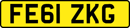 FE61ZKG