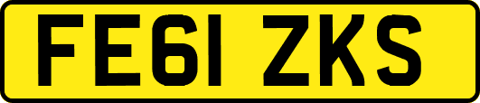 FE61ZKS