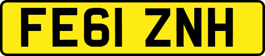 FE61ZNH