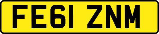 FE61ZNM