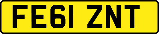 FE61ZNT
