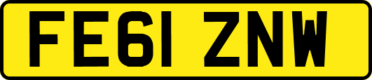 FE61ZNW