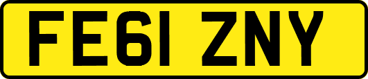 FE61ZNY