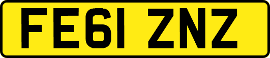 FE61ZNZ