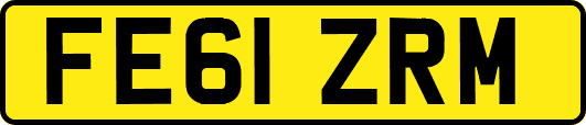 FE61ZRM