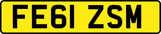FE61ZSM