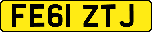 FE61ZTJ