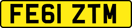 FE61ZTM