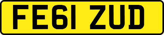 FE61ZUD