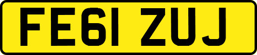 FE61ZUJ