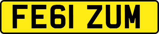 FE61ZUM