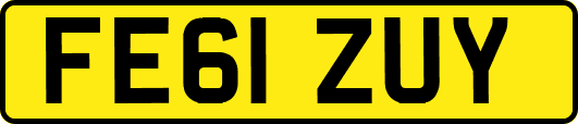 FE61ZUY