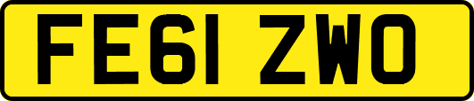FE61ZWO
