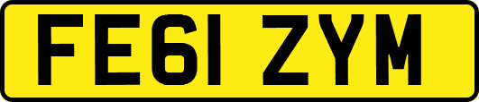 FE61ZYM