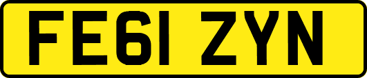 FE61ZYN
