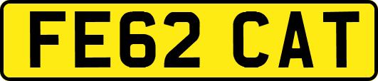 FE62CAT