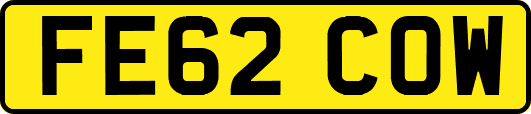 FE62COW