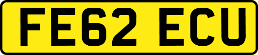 FE62ECU