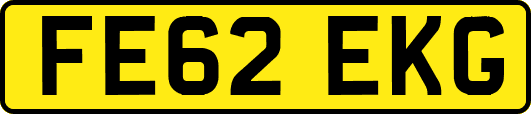 FE62EKG