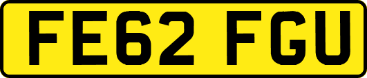 FE62FGU