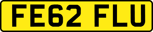 FE62FLU