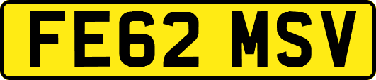 FE62MSV