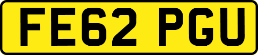 FE62PGU