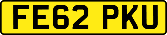 FE62PKU