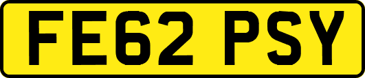 FE62PSY