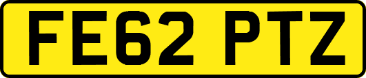 FE62PTZ