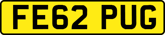 FE62PUG