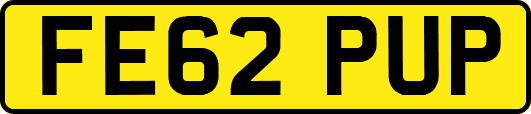 FE62PUP