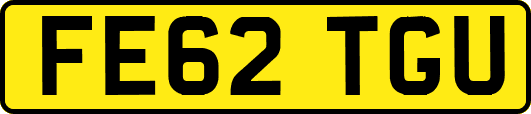 FE62TGU