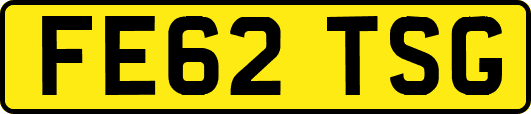 FE62TSG