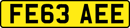 FE63AEE