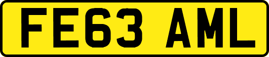 FE63AML