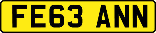 FE63ANN